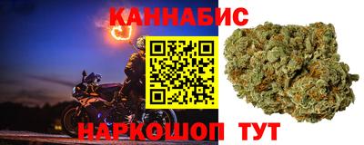 гидра Будённовск