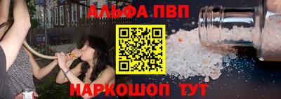 гидра Будённовск