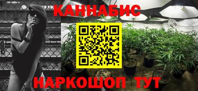 гидра Будённовск