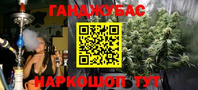 гидра Будённовск