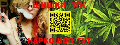 гидра Будённовск