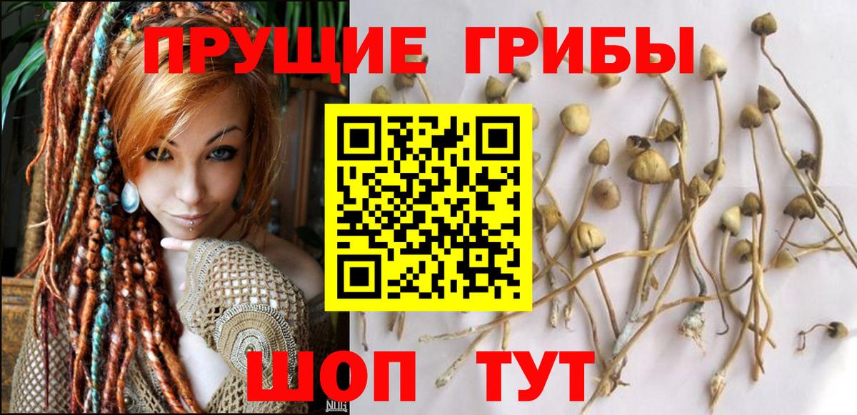 Псилоцибиновые грибы Psilocybine cubensis  Вход с VPN  Нягань 