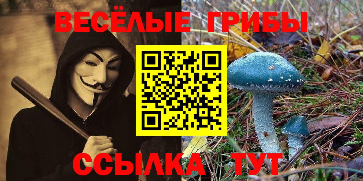 Галлюциногенные грибы прущие грибы Нягань